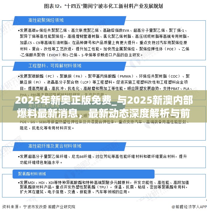 深度解析与前瞻视频报道 第2页
