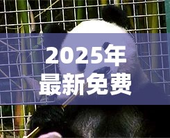2025年最新免费资料大全和777788888888管家婆，营销释义、专家解析解释与落实,小心言过其实推广