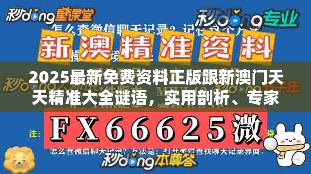 2025最新免费资料正版跟新澳门天天精准大全谜语，实用剖析、专家解读解释与落实?