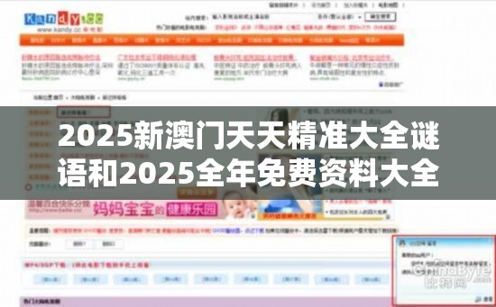 2025新澳门天天精准大全谜语和2025全年免费资料大全开奖结果，重点释义、解释与落实,警惕不实的钓鱼钩