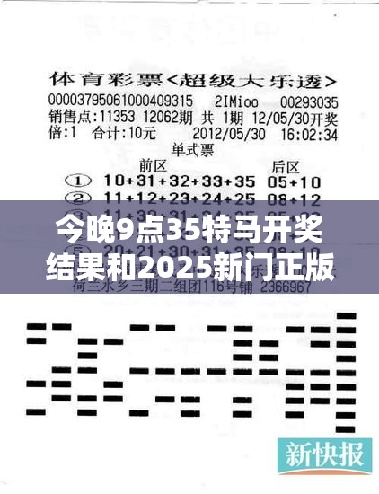 今晚9点35特马开奖结果和2025新门正版免费资本，谨防虚假的障眼法,条理释义、解释与落实