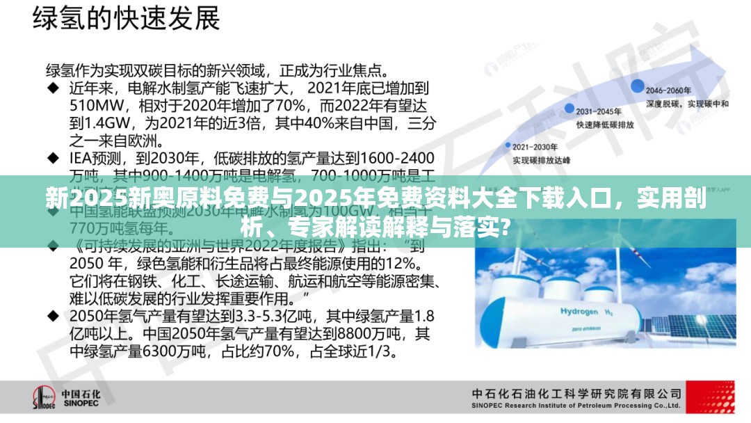 新2025新奥原料免费与2025年免费资料大全下载入口，实用剖析、专家解读解释与落实?