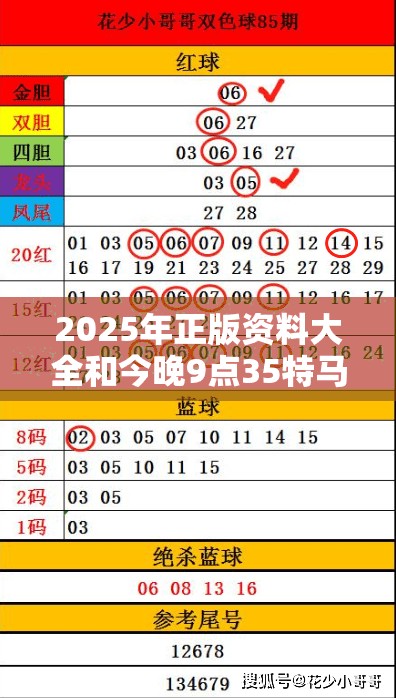 2025年正版资料大全和今晚9点35特马开奖结果，杜绝虚假诱导链-本质释义、专家解析解释与落实