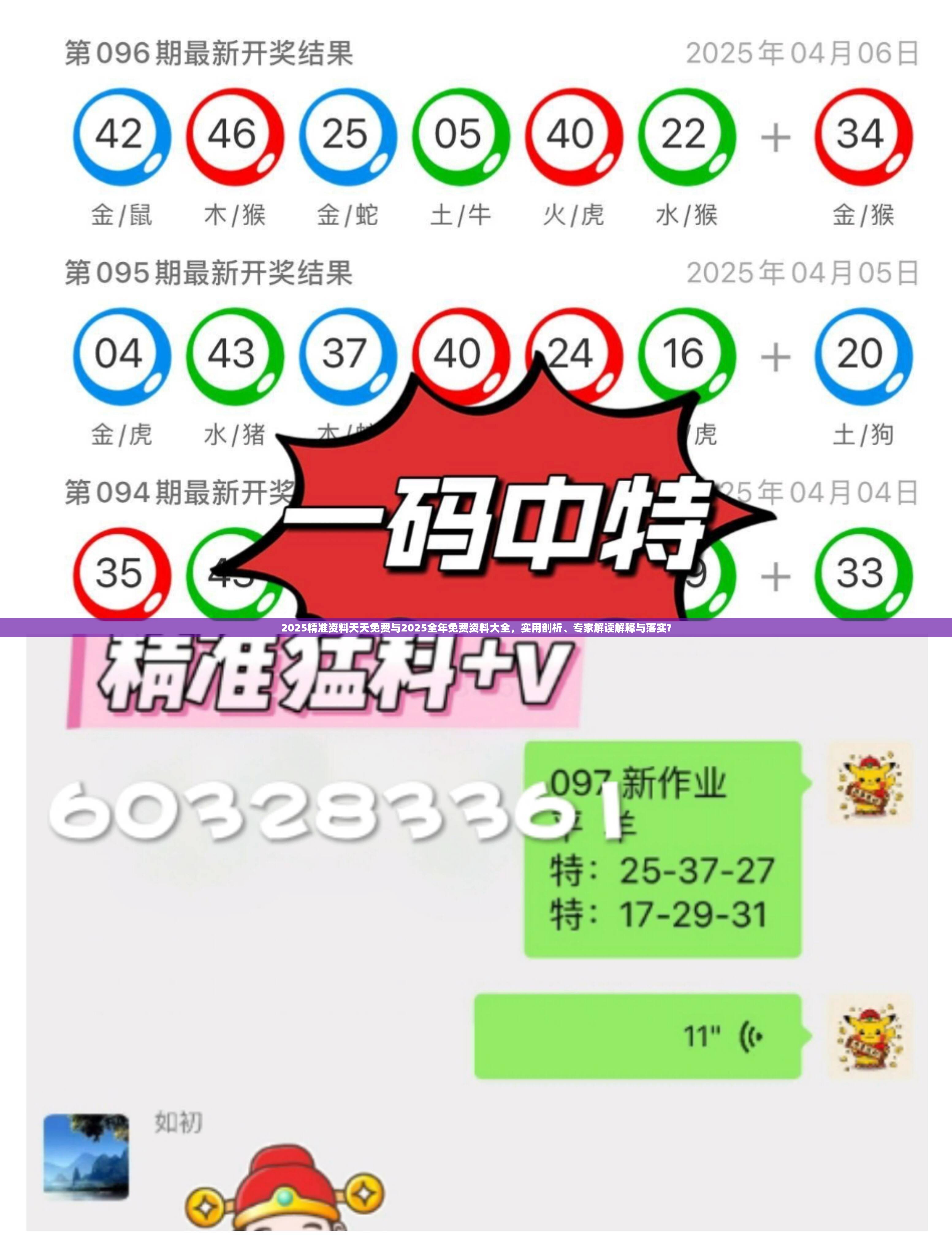 2025精准资料天天免费与2025全年免费资料大全，实用剖析、专家解读解释与落实?