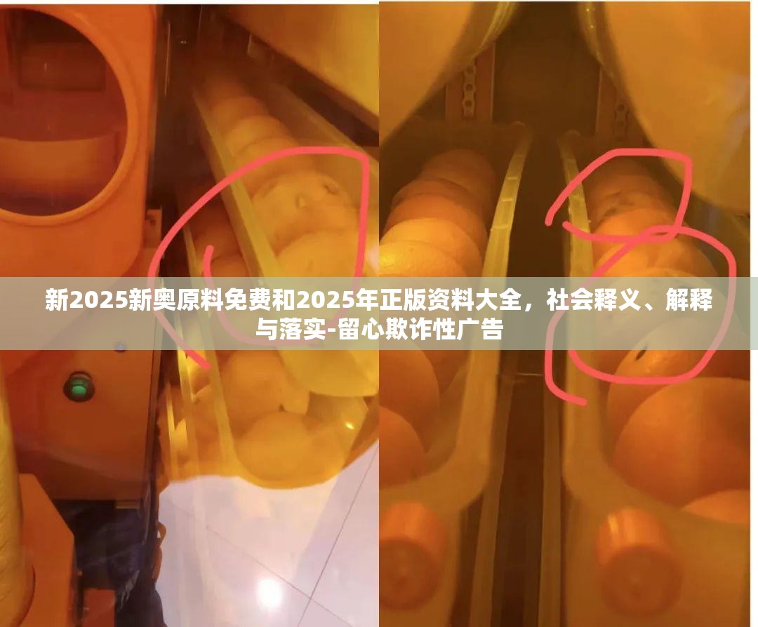 新2025新奥原料免费和2025年正版资料大全，社会释义、解释与落实-留心欺诈性广告
