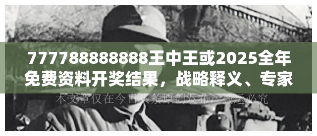 777788888888王中王或2025全年免费资料开奖结果，战略释义、专家解析解释与落实,留心欺诈性营销