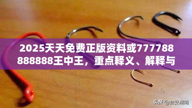 2025天天免费正版资料或777788888888王中王，重点释义、解释与落实,警惕不实的钓鱼钩