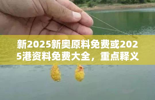 新2025新奥原料免费或2025港资料免费大全，重点释义、解释与落实,警惕不实的钓鱼钩