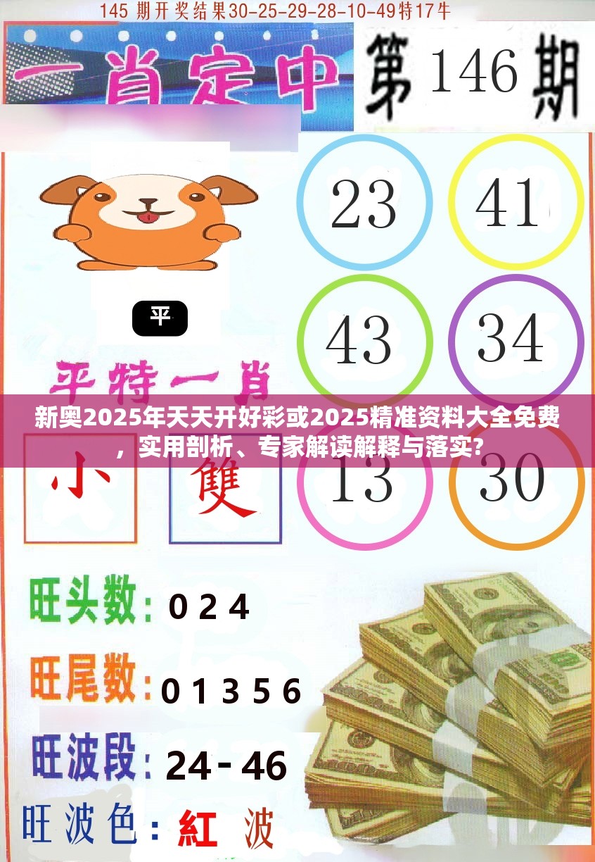 新奥2025年天天开好彩或2025精准资料大全免费，实用剖析、专家解读解释与落实?
