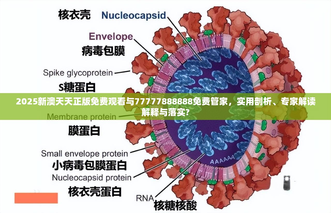 2025新澳天天正版免费观看与77777888888免费管家，实用剖析、专家解读解释与落实?