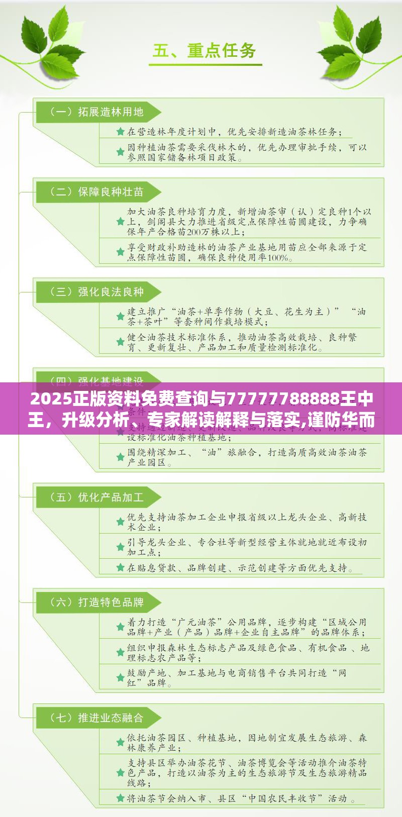 2025正版资料免费查询与77777788888王中王，升级分析、专家解读解释与落实,谨防华而不实包装