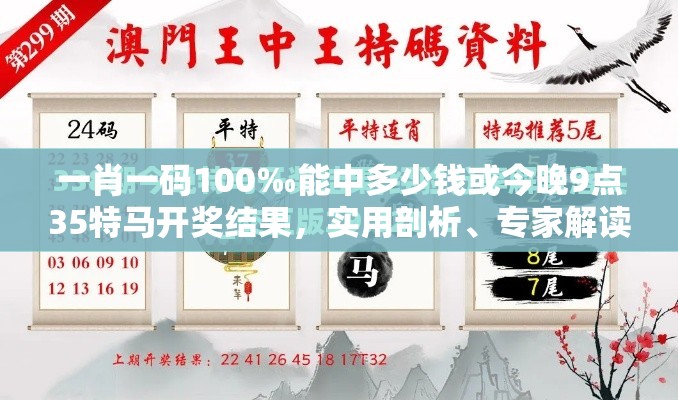 一肖一码100‰能中多少钱或今晚9点35特马开奖结果，实用剖析、专家解读解释与落实?