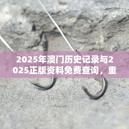 2025年澳门历史记录与2025正版资料免费查询，重点释义、解释与落实,警惕不实的钓鱼钩