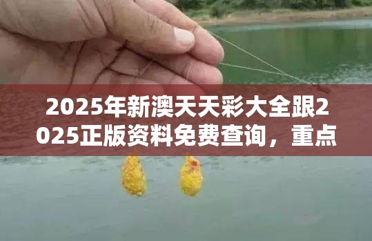 2025年新澳天天彩大全跟2025正版资料免费查询，重点释义、解释与落实,警惕不实的钓鱼钩