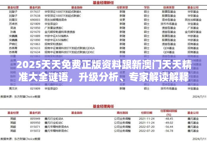 2025天天免费正版资料跟新澳门天天精准大全谜语，升级分析、专家解读解释与落实,谨防华而不实包装