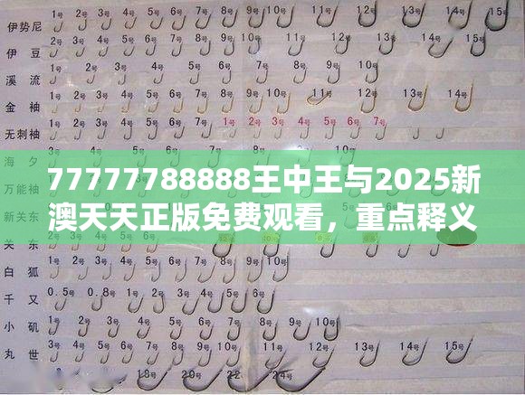77777788888王中王与2025新澳天天正版免费观看，重点释义、解释与落实,警惕不实的钓鱼钩