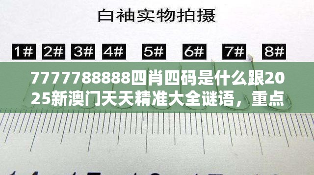 7777788888四肖四码是什么跟2025新澳门天天精准大全谜语，重点释义、解释与落实,警惕不实的钓鱼钩