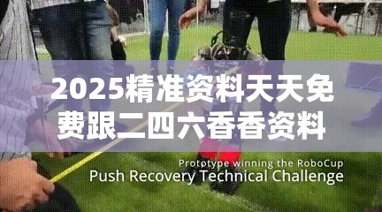 2025精准资料天天免费跟二四六香香资料期期准用途，典型释义、专家解析解释与落实?小心误导宣传风险