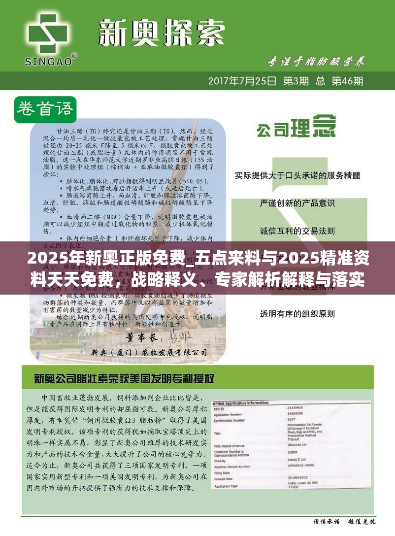 2025年新奥正版免费_五点来料与2025精准资料天天免费，战略释义、专家解析解释与落实,留心欺诈性营销