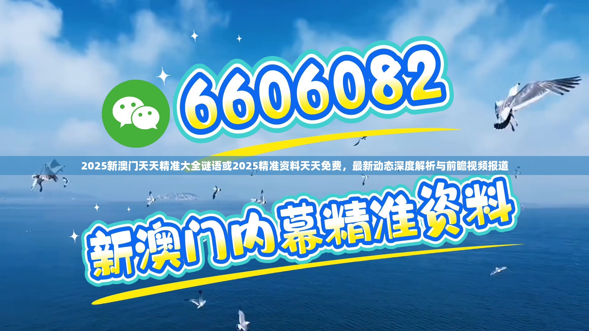 2025新澳门天天精准大全谜语或2025精准资料天天免费，最新动态深度解析与前瞻视频报道