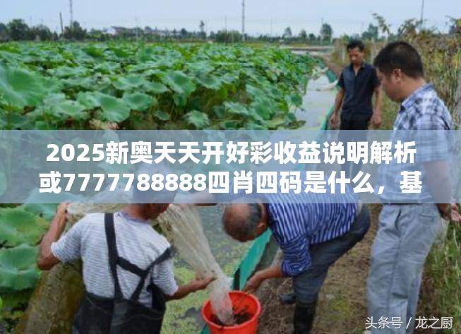 2025新奥天天开好彩收益说明解析或7777788888四肖四码是什么，基础释义、专家解析解释与落实?杜绝虚假诱导词